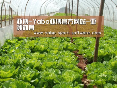种植基地五