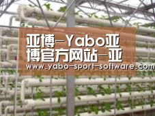 环境展示六
