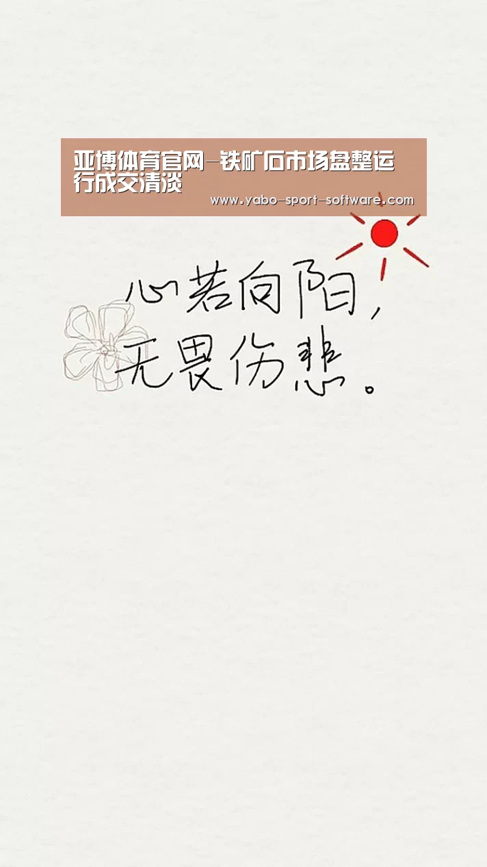 亚博体育官网-铁矿石市场盘整运行成交清淡(图2)